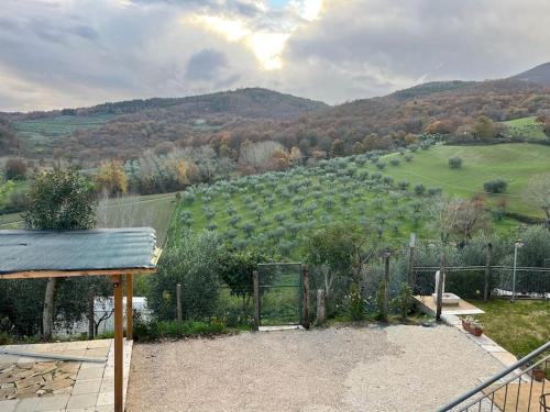  Costa del Sole 46 in Cetona