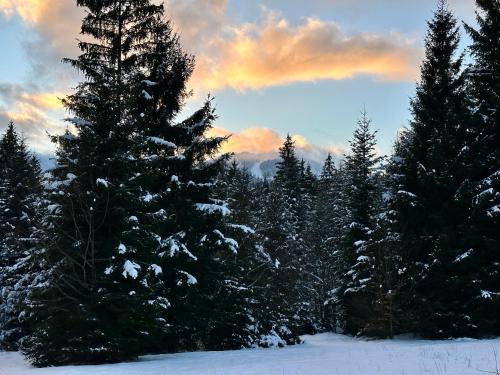 Maiers Hotel - Bayerisch Eisenstein