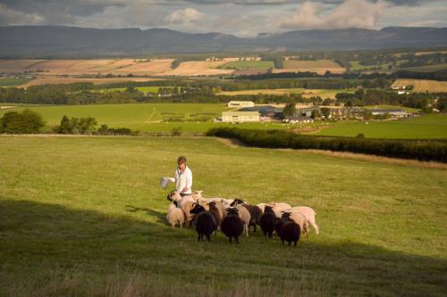 The Steading at Pitmeadow Farm