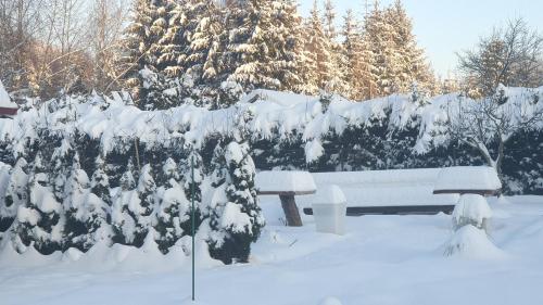 1 king bed, 2 sofa beds