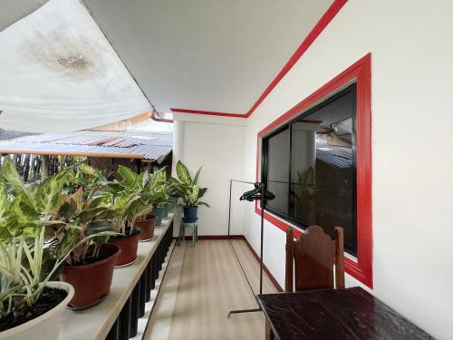 Lara's Guesthouse Siargao - 정원