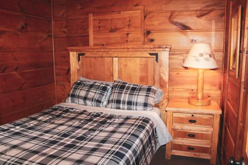 CatTail Cabin in Saint Germain, USA