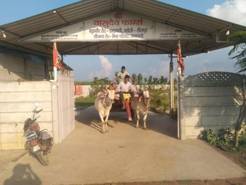 Shri Vasudev Farms Sitapur (Uttar Pradesh)