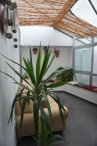 Casa Marcur Santa Cruz, Siviglia (foto 8)