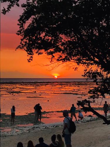 The Exile Gili T