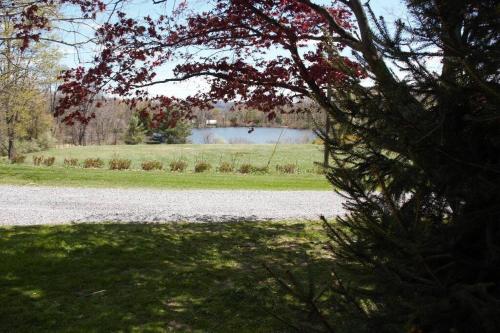 Private Lakeview Cottage and 2 Farmhouse Apartments near Rt 80 easy to NYC