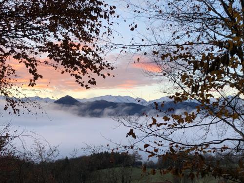 Fenêtre sur les Pyrénées