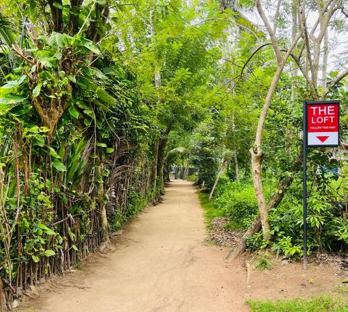 The Loft The Loft