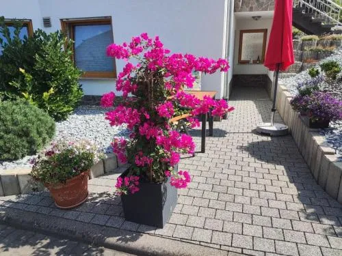 Ferienwohnung Moselzeit in Alken, Deutschland