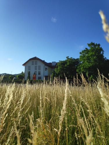 Foto - Hotel Bau Maribor