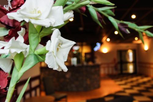 Euroway Hotel - image 2
