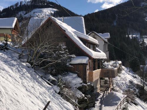 Chalet Felsenhütte by Interhome, Pension in Ebene Reichenau