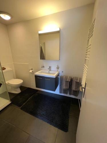 Studio Flims - Apartment