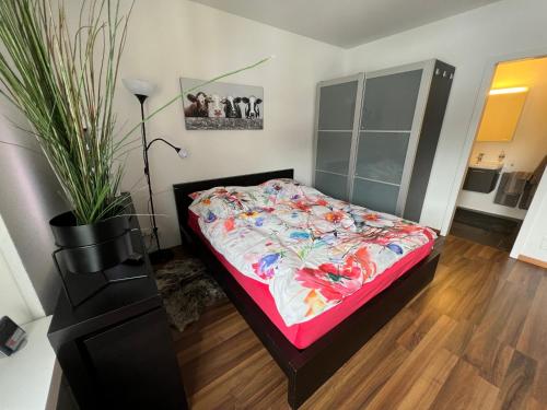 Studio Flims - Apartment