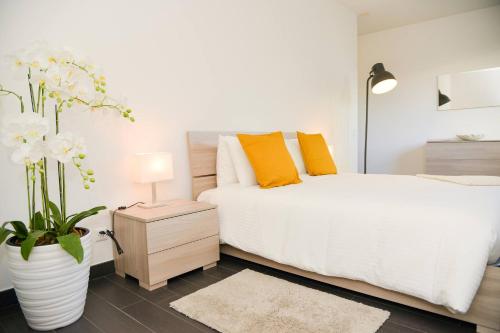Central Plaza Apartment Br in Lugano - image 4