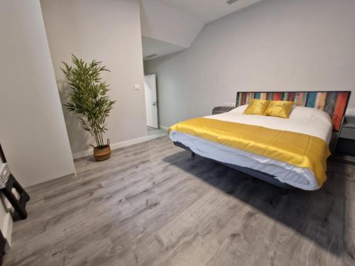 Malasaña Dreams S,L – Madrid, NC