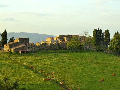 In a wonderful medieval village on the Tuscan hills, with air conditioning