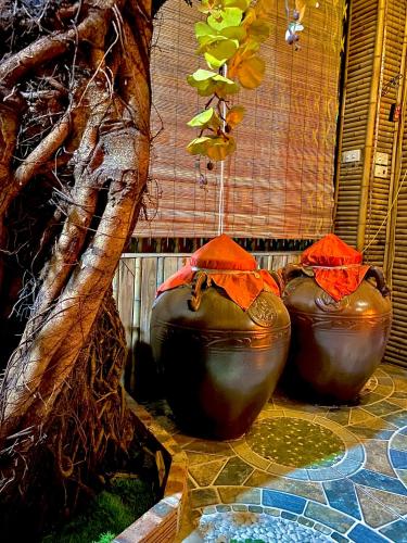 Hang Mua Bamboo Homestay Ninh Binh - image 5