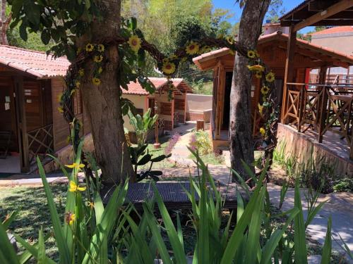 Monte Suiço - Chalés para locação Monte Suiço - Chalés para locação