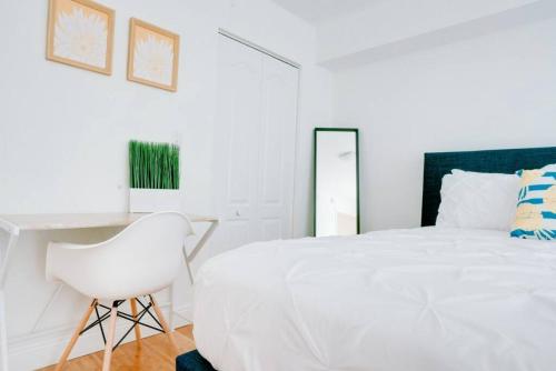 Miami Gem with great Ocean view, pool, wfh set up, and parking in Miami, USA