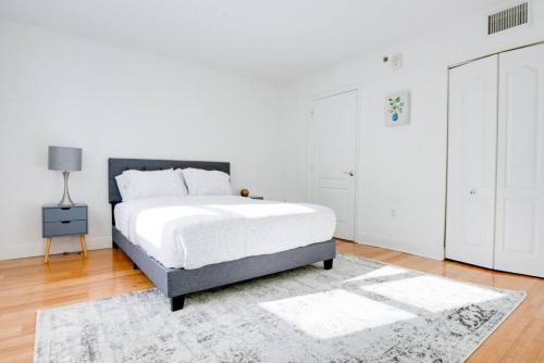 Miami Gem with great Ocean view, pool, wfh set up, and parking in Miami, USA