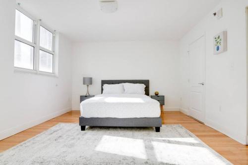 Miami Gem with great Ocean view, pool, wfh set up, and parking in Miami, USA