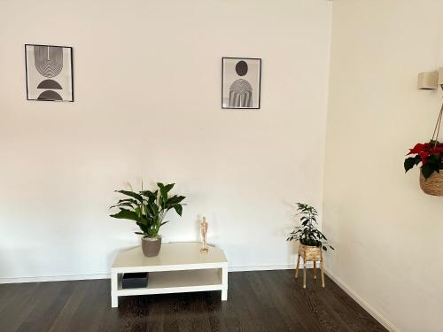 FEEL - Casa di Luce, Bergamo (fotografie 6)