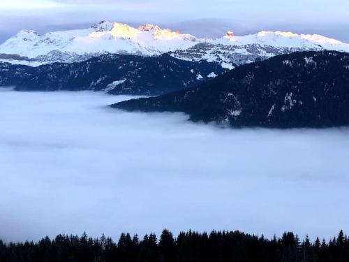 La Perle des Alpes C10 Apart.4* #Yolo Alp Home