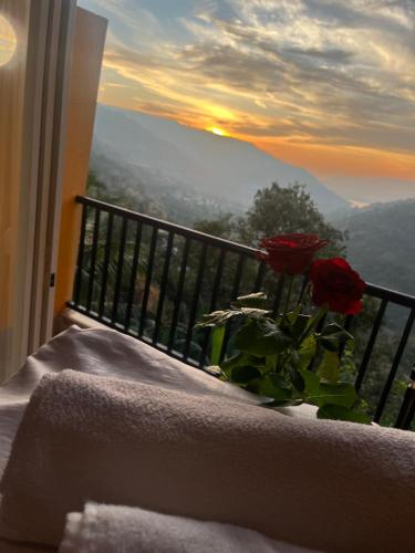 ทัศนียภาพ, Kalasita Farm Residency in พันช์กานี่