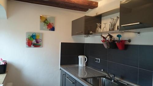 keuken, Apartment Regensburg in Galgenberg