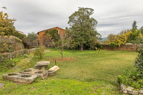 花園, DON JULIO in 普耶爾托佩拉萊斯