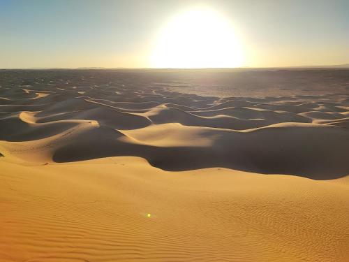 Bivouac Les Nomades & Foum zguid camel trekking and tours in Foum Zguid