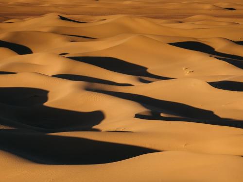 Bivouac Les Nomades & Foum zguid camel trekking and tours in Foum Zguid