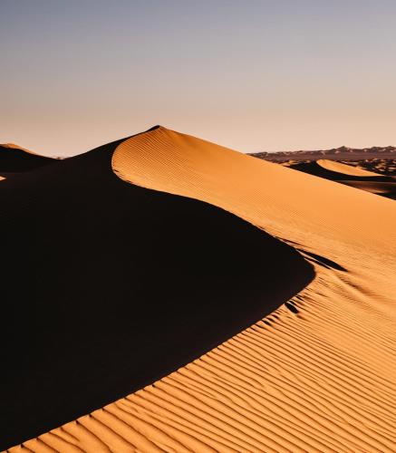 Bivouac Les Nomades & Foum zguid camel trekking and tours in Foum Zguid