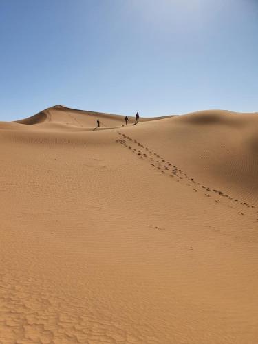 Bivouac Les Nomades & Foum zguid camel trekking and tours in Foum Zguid