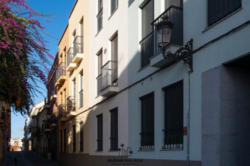 Luxury Duplex with Pool and Padel Court in Town