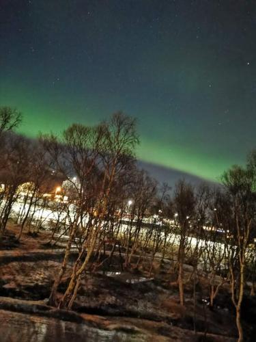 Aurora rooms in shared hause nr3 we are doing Northen Lights trip, Reaindear trip and Sommaroy Fjord in Kvaloysletta