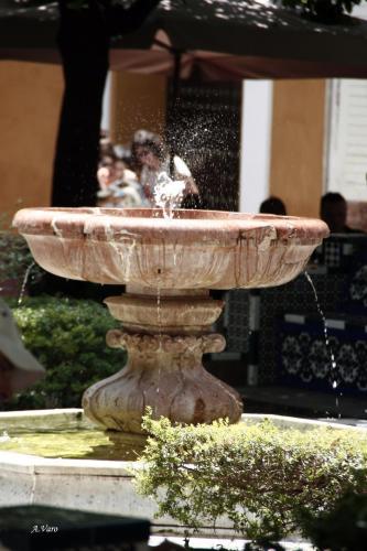 Hotel Doña Lina - image 7