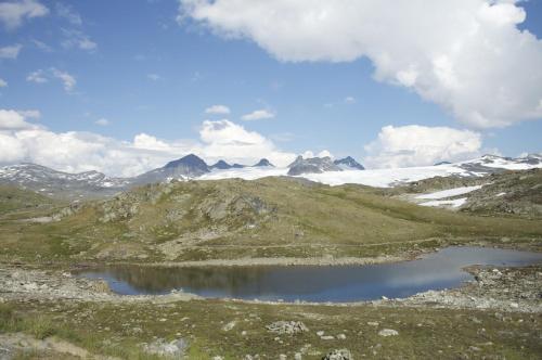 Dalsøren Camping og hytter - image 11
