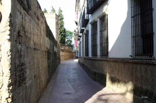 Hotel Doña Lina - image 14