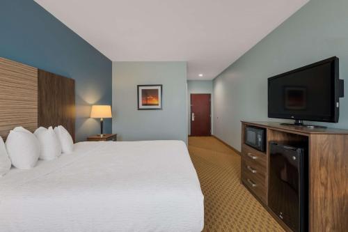 Best Western South Plains Inn & Suites