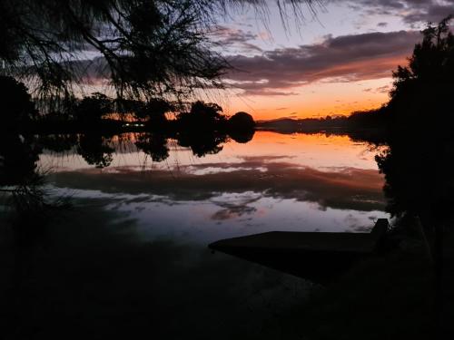 Bellinger River Tourist Park