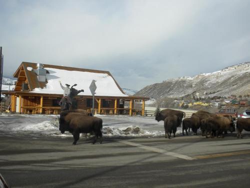 Cowboys Lodge in Gardiner, USA