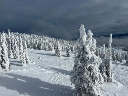 Magical Views at Southpoint Big White! Best Location!, Big White (fotografie 4)
