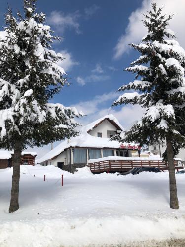 Red Family Apartments - Accommodation - Păltiniş