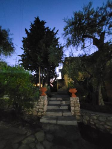 Hotel Poggio Degli Ulivi - image 2