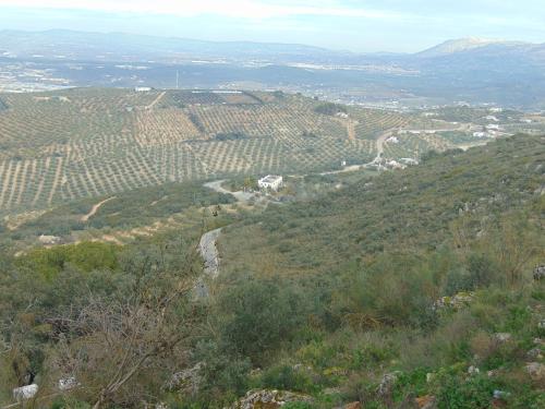 Hotel Sierra de Araceli Lucena - image 10