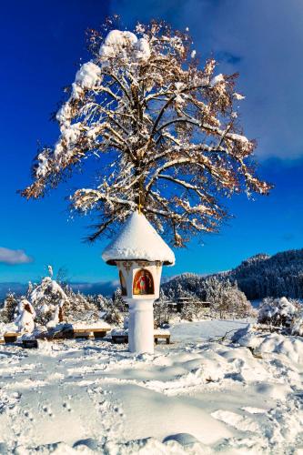 Haus am Wald