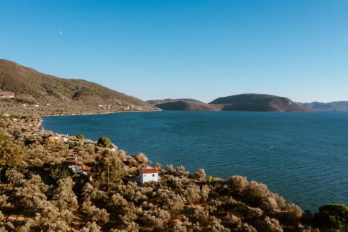Apkārtne, Traditional Stone House in Seafront Olive Grove A in Kedro (Lesvos)