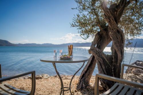 Seafront Traditional Stone House in Sunset Olive Grove - B